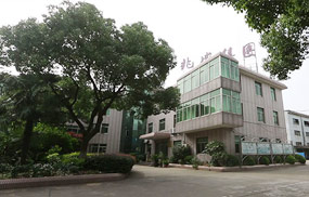 2010年成立江苏大阳城集团娱乐游戏集团有限公司；